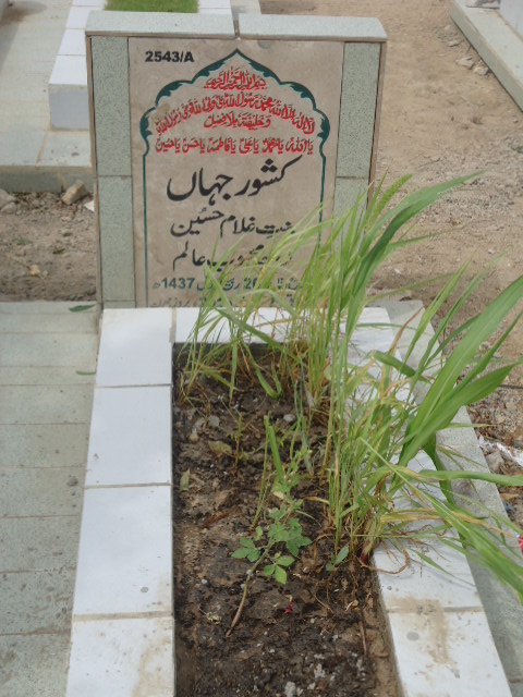 12543 – Kishwar Jahan