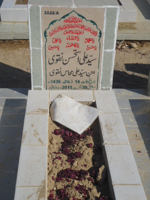 12028 – Syed Ali Istehsan Naqvi