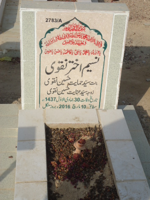 12783 – Naseem Akhtar Naqvi