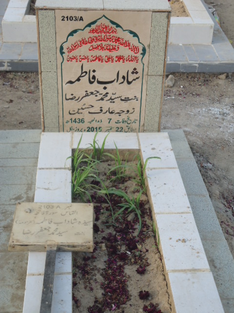 12103 – Shadab Fatima