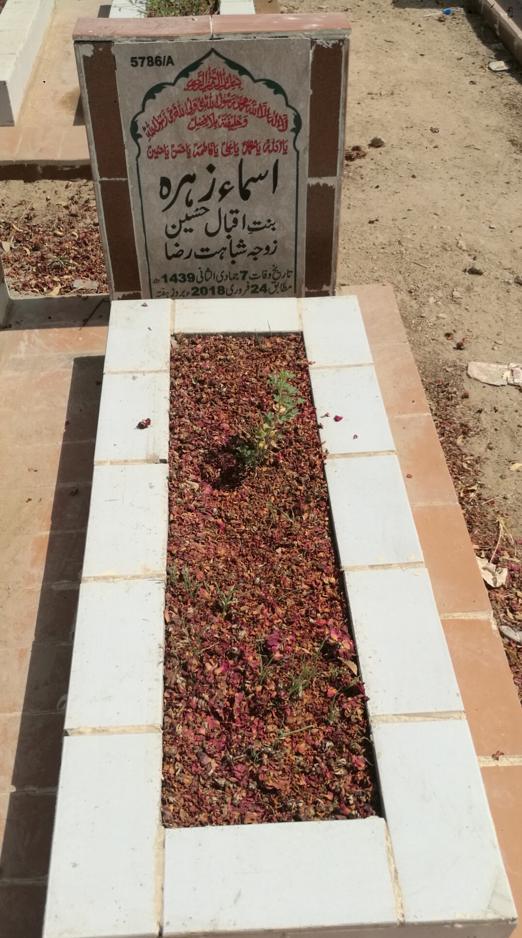 15786 – Asma Zehra