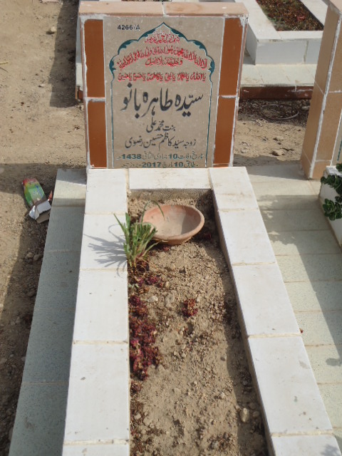 14266 – Syeda Tahira Bano