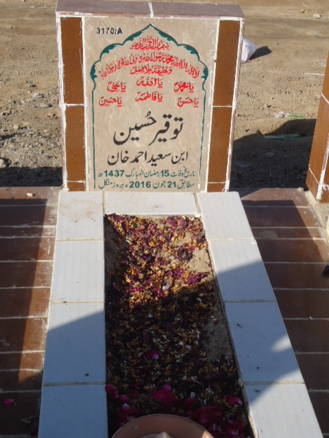 13169 – Touqeer Hussain