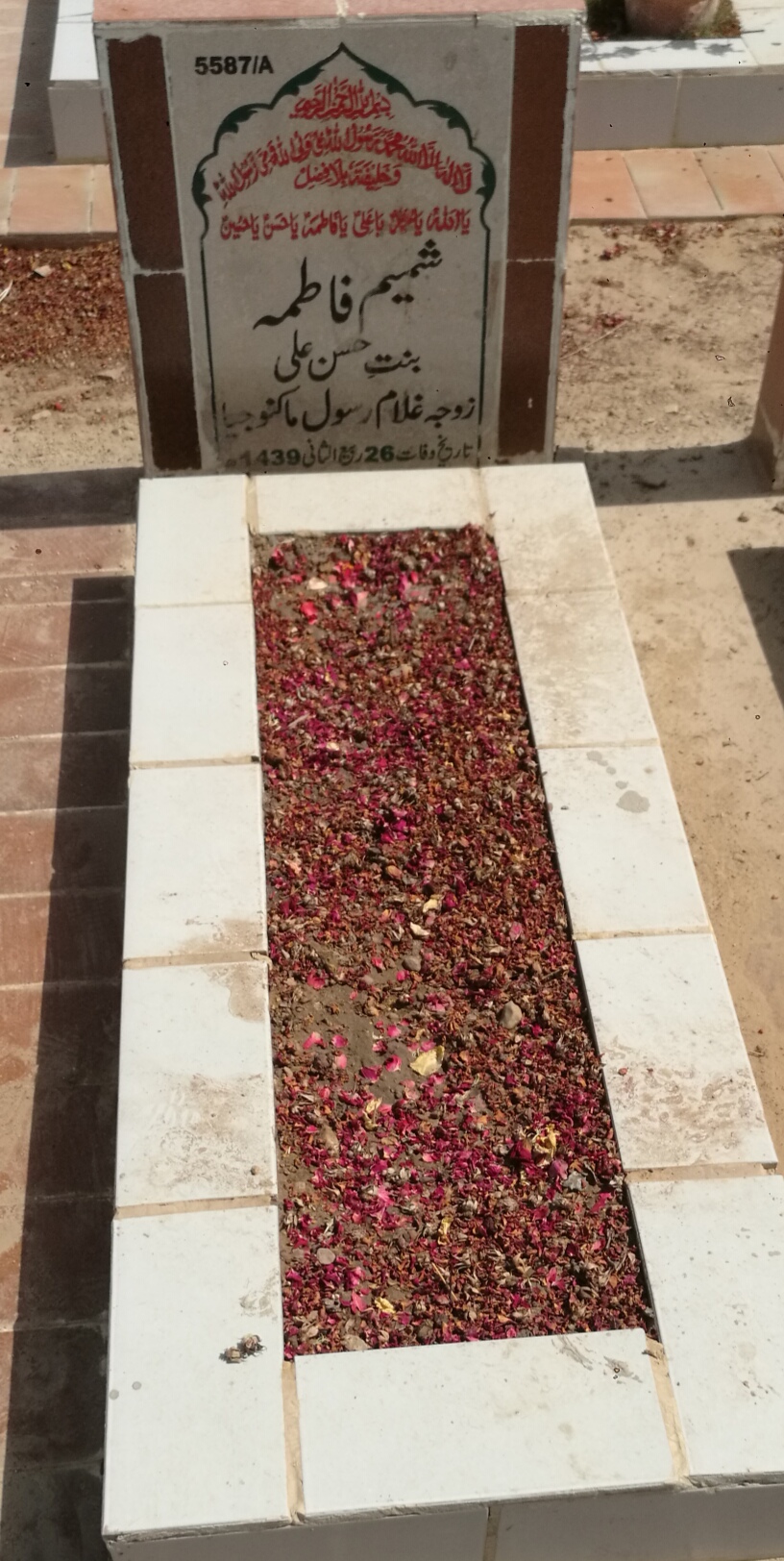 15587 – Shamim Fatima