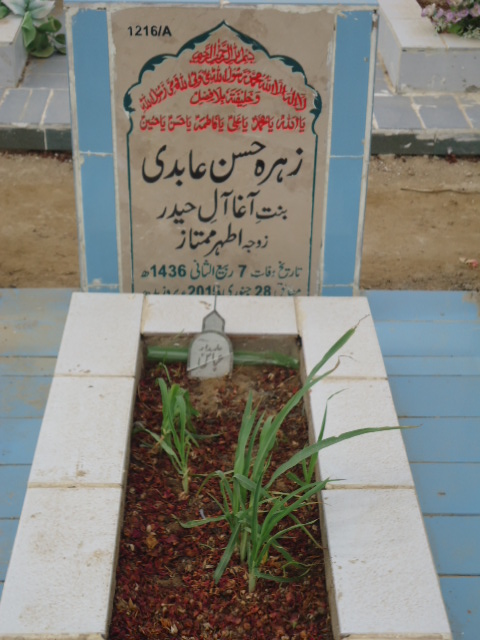11216 – Zehra Hasan Abidi