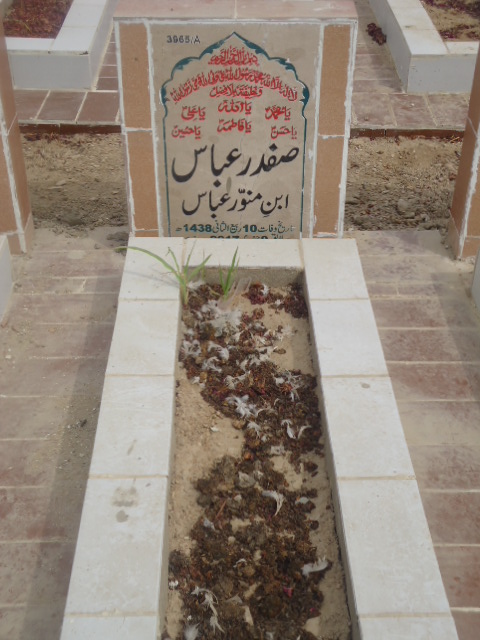 13965 – Safdar Abbas