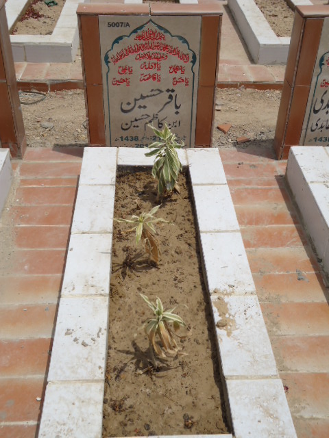 15007 – Baqar Hussain
