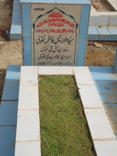 11669 – Syeda Idrees Fatima Naqvi