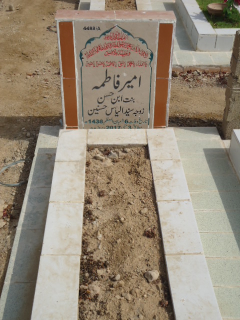 14488 – Ameer Fatima