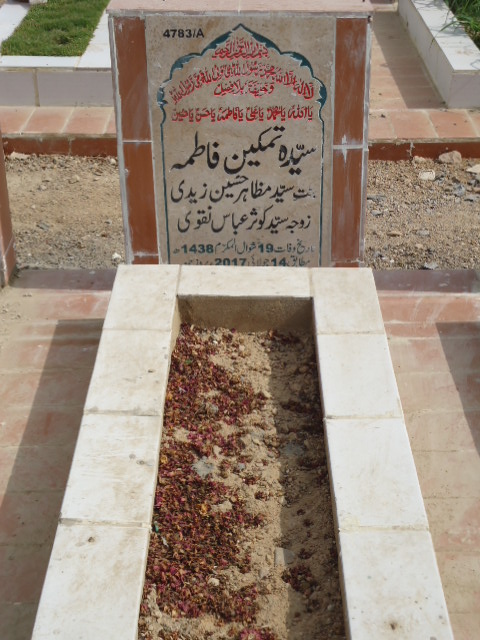 14783 – Syeda Tamkeen Fatima