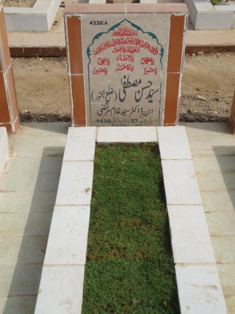 14335 – Syed Hassan Mustafa