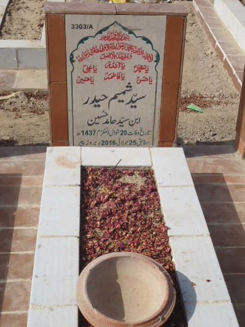 13303 – Syed Shamim Haider