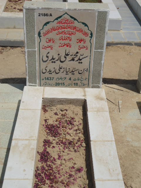 12186 – Syed Muhammad Ali Zaidi