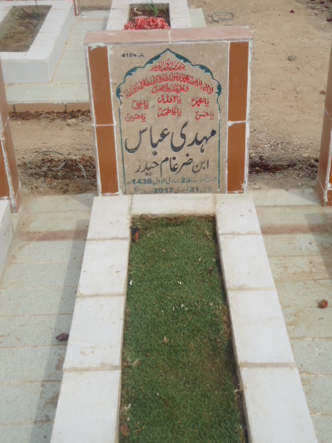 14184 – Mehdi Abbas