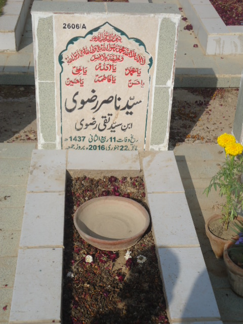 12606 – Syed Nasir Rizvi