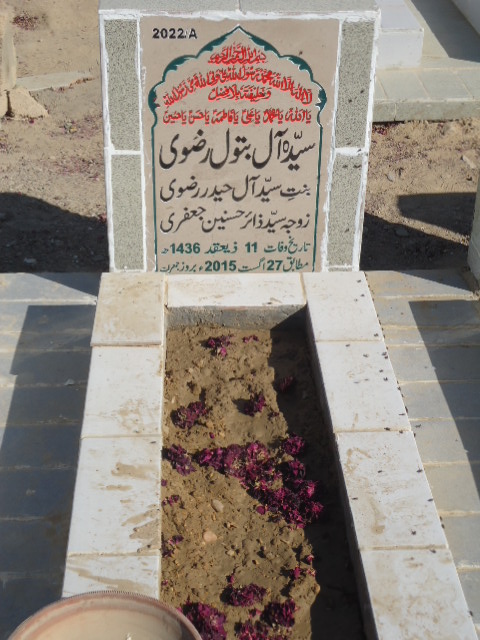 12022 – Syeda Alay Batool Rizvi