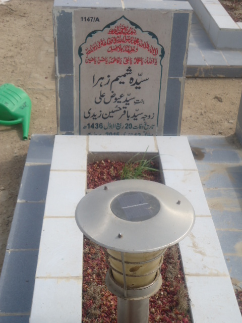 11147 – Syeda Shamim Zehra