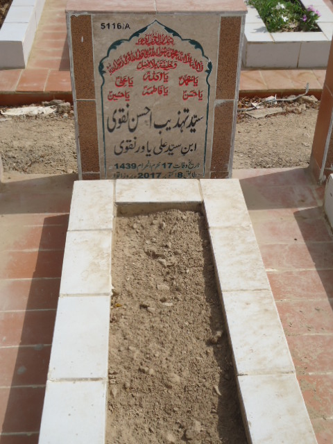 15116 – Syed Tehzeeb Ahsan Naqvi