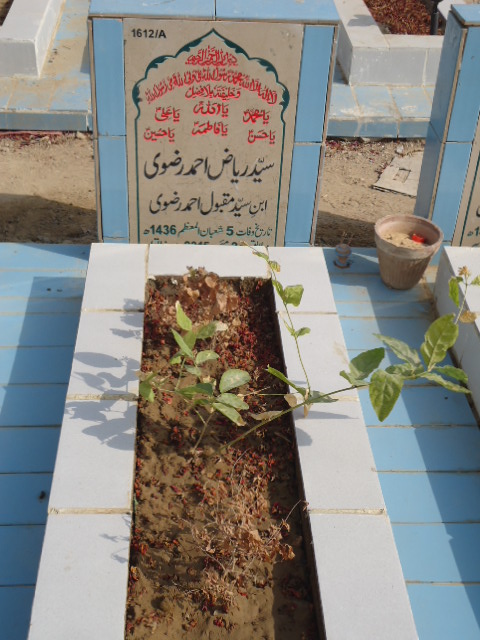 11612 – Syed Riyaz Ahmed Rizvi