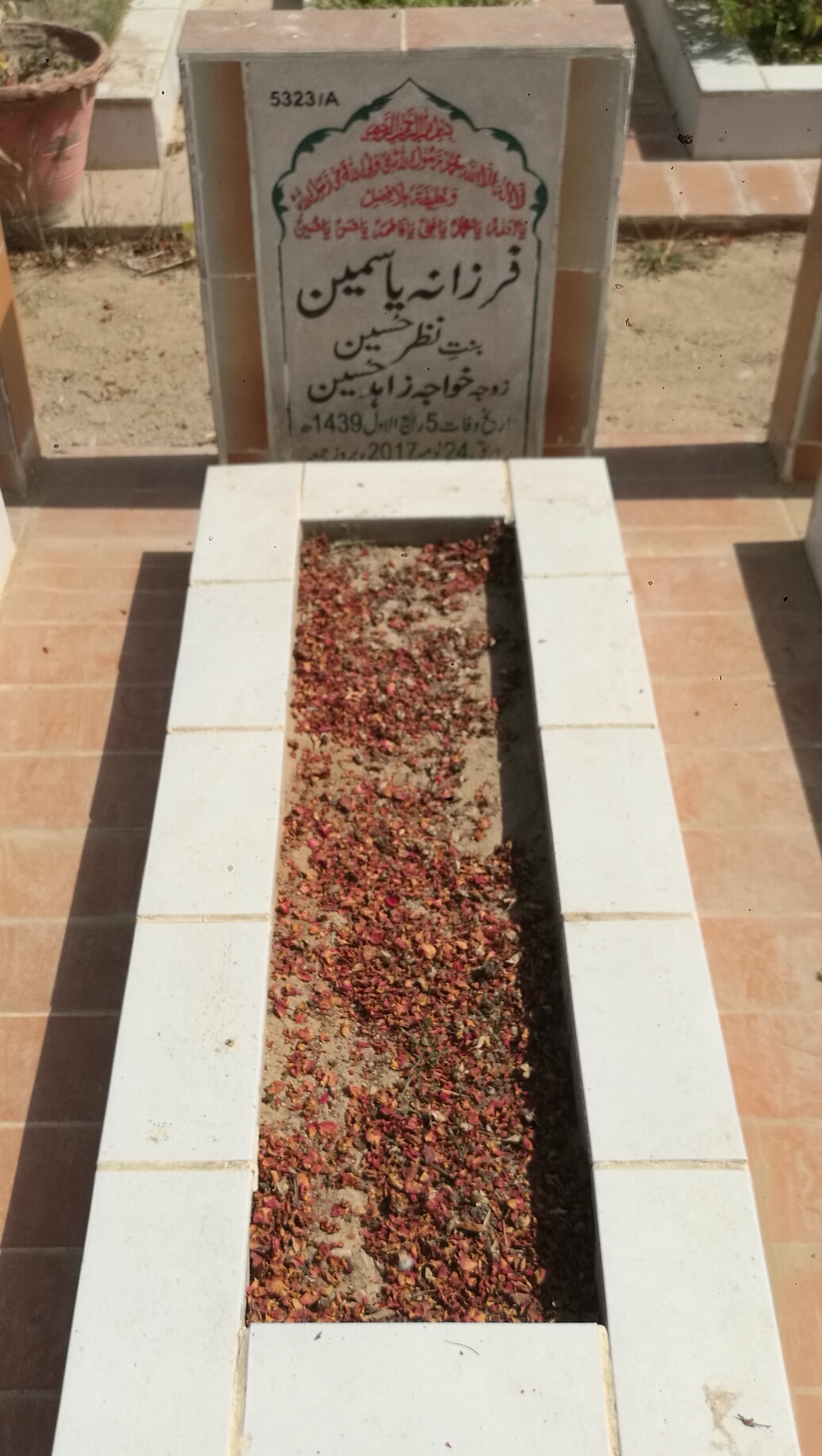 15323 – Farzana Yasmeen