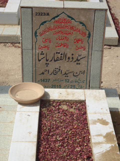 12323 – Syed Zulfiqar Pasha