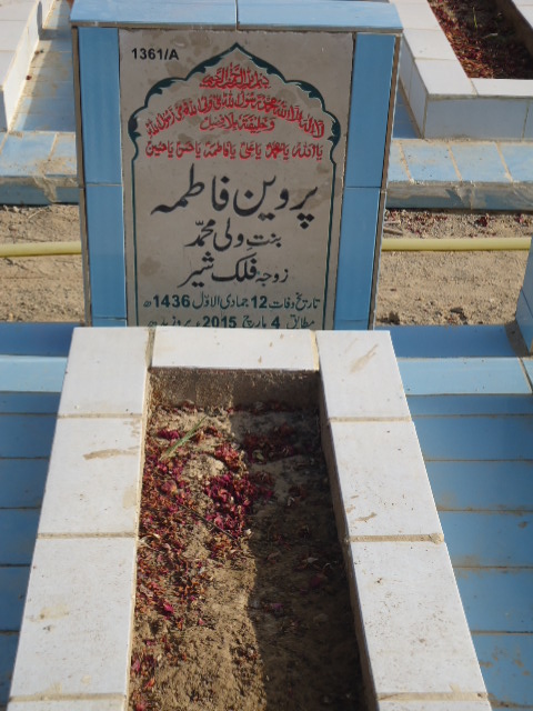 11361 – Parveen Fatima