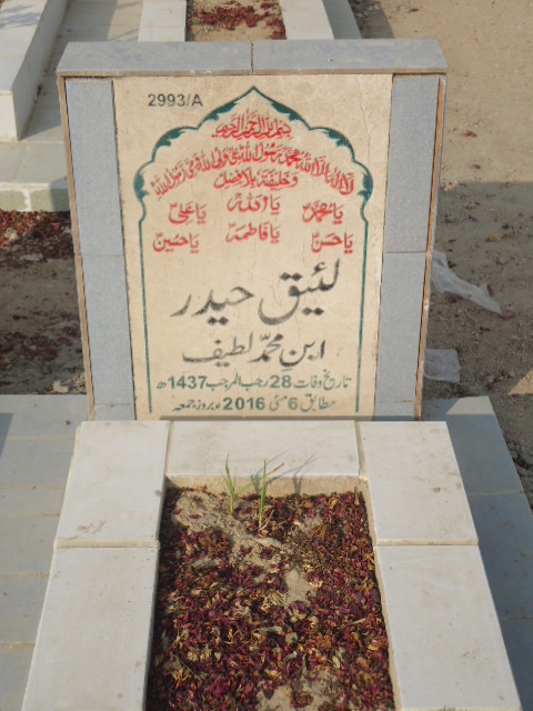 12993 – Laique Haider