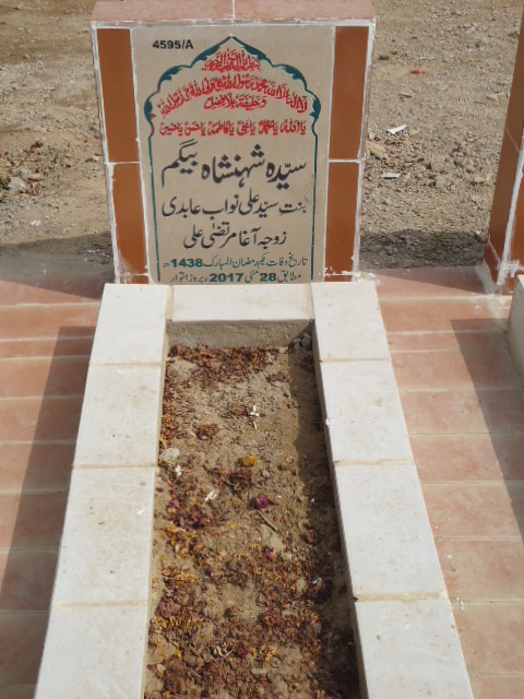 14595 – Syeda Shahinshah Begum