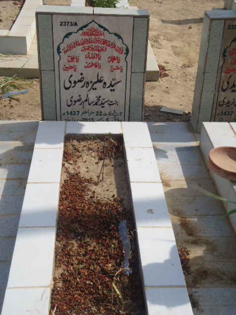 12373 – Syeda Aliza Rizvi