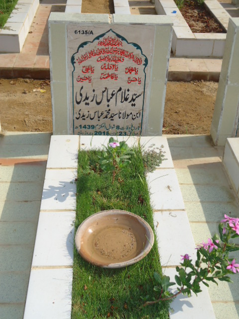 16135 – Syed Ghulam Abbas Zaidi