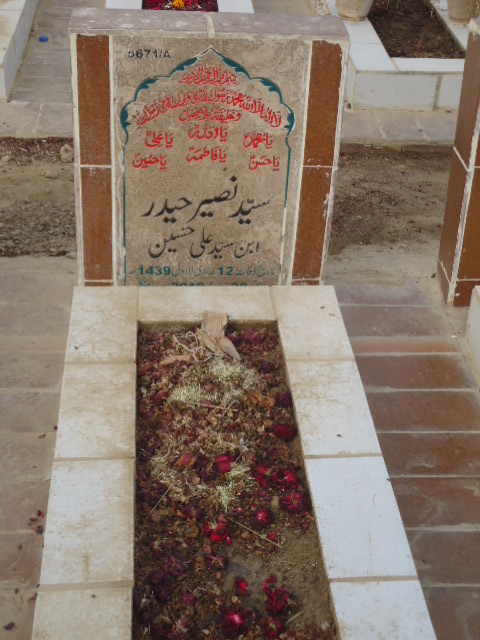 15671 – Syed Naseer Haider