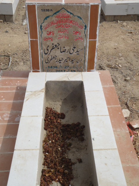 15038 – Syed Ali Raza Jaffery