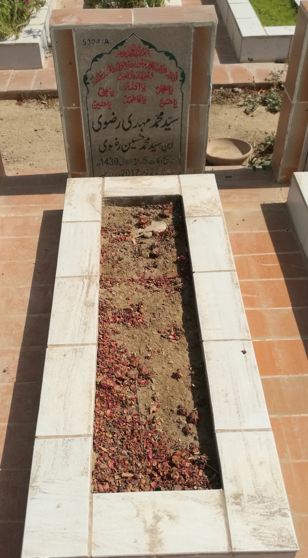 15324 – Syed Muhammad Mehdi Rizvi