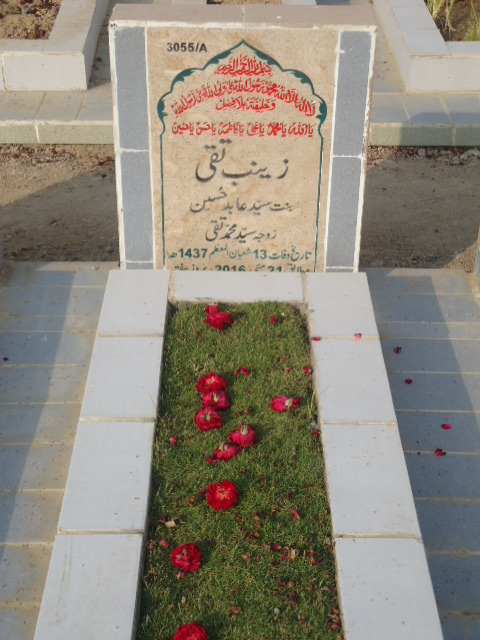 13055 – Zainab Taqi