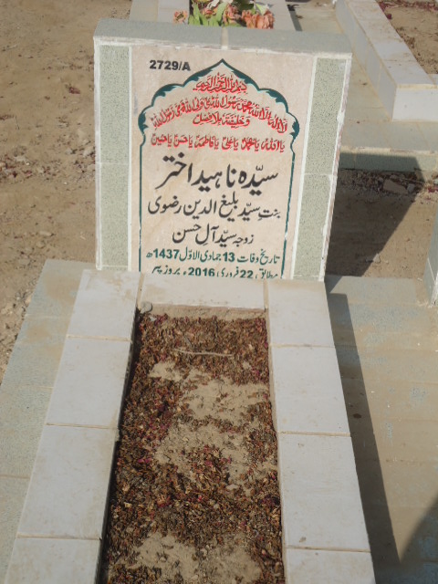 12729 – Syeda Naheed Akhtar