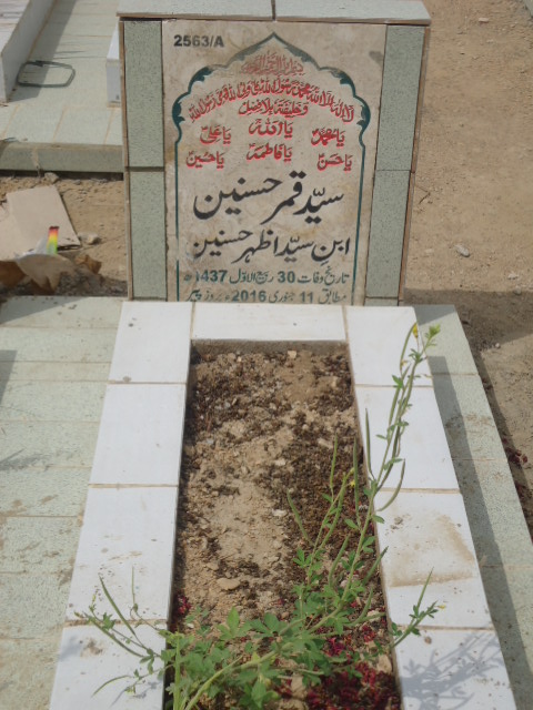 12563 – Syed Qamar Hasnain