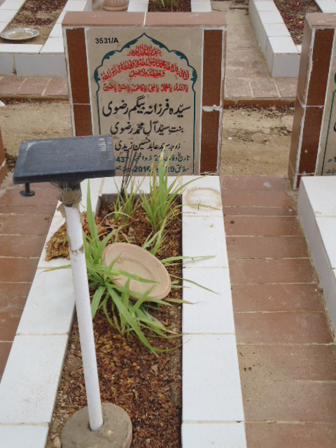13531 – Syeda Farzana Begum Rizvi