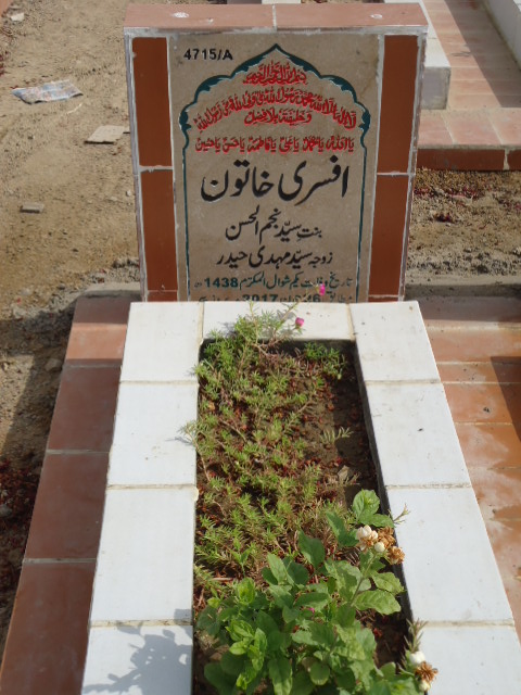 14715 – Afsari  Khatoon