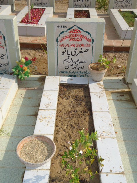 16113 – Sughra Bano