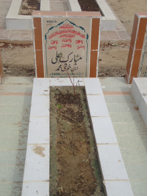 14082 – Mubarak Ali