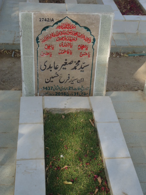 12742 – Syed Muhammad Sagheer Abidi