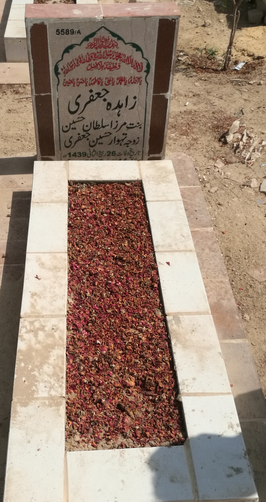 15589 – Zahida Jaffery
