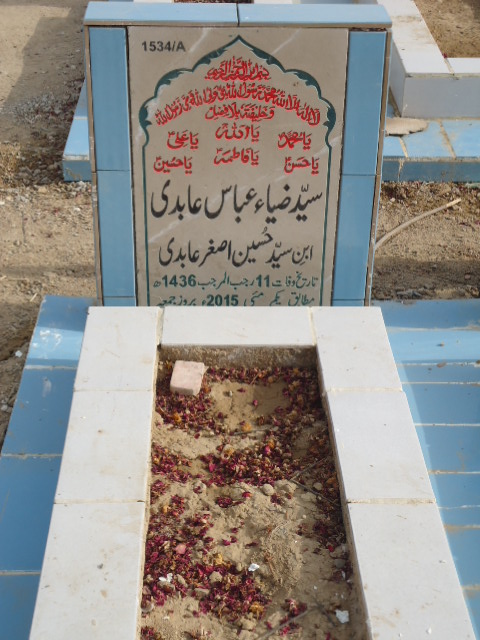 11534 – Syed Zia Annas Abidi