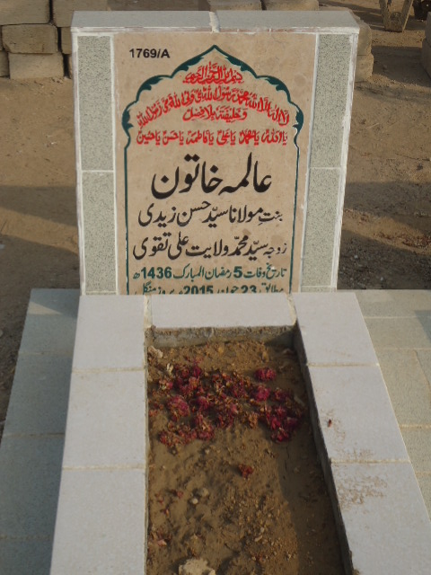 11769 – Aalima Khatoon