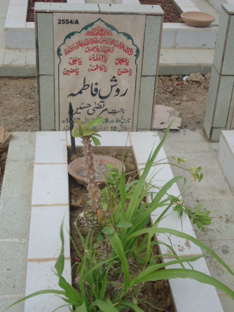 12554 – Rosh Fatima