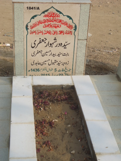 11841 – Syeda Dur A Shewar Jaffery