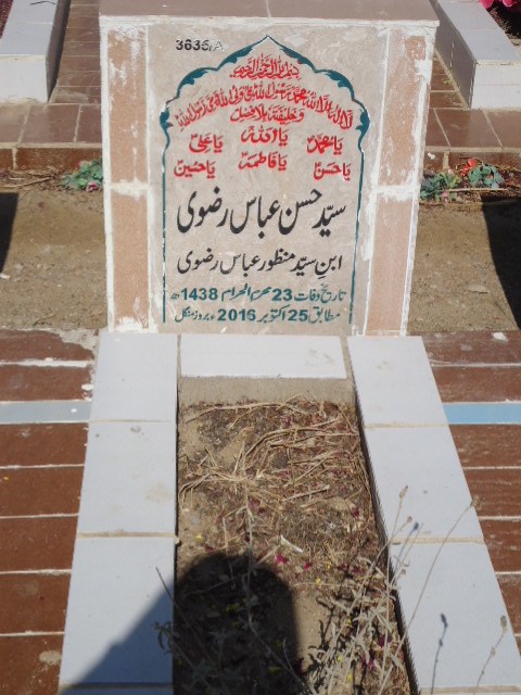 13635 – Syed Hassan Abbas Rizvi