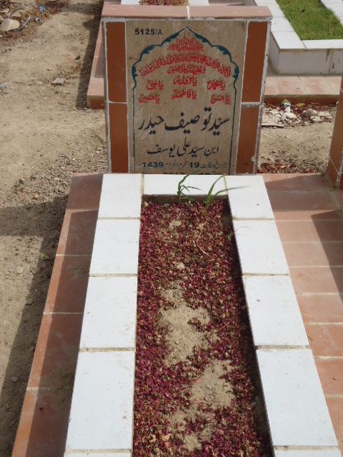 15125 – Syed Touseef Haider