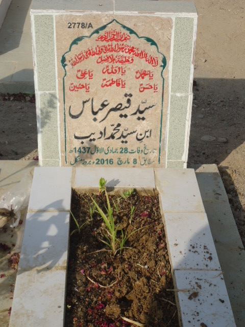 12778 – Syed Qaisar Abbas
