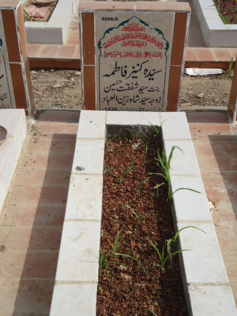 14696 – Syeda Kaneez Fatima